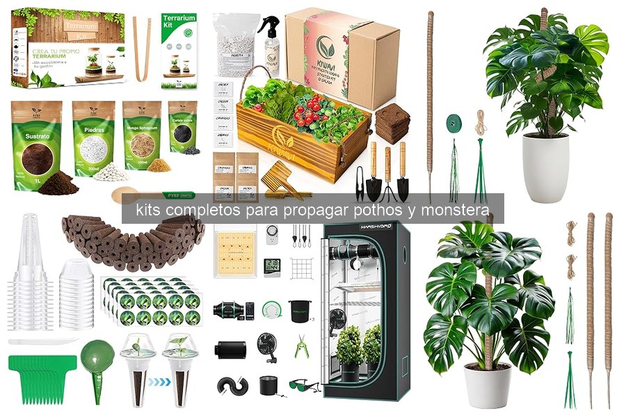 Mejores kits para propagar pothos y monstera en 2026