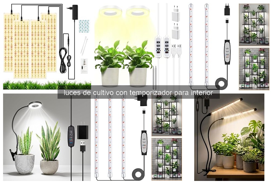 Mejores luces de cultivo con temporizador para plantas de interior