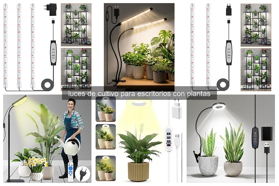 Mejores luces de cultivo para plantas de escritorio en 2026