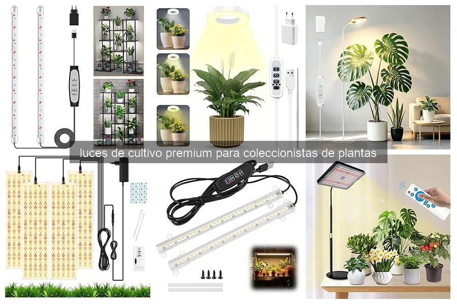 Mejores luces de cultivo premium para coleccionistas de plantas