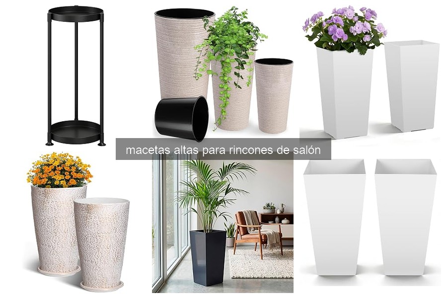 Mejores macetas altas para rincones de salón en 2026