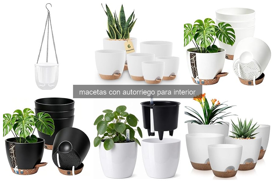 Mejores macetas con autorriego para interior 2026