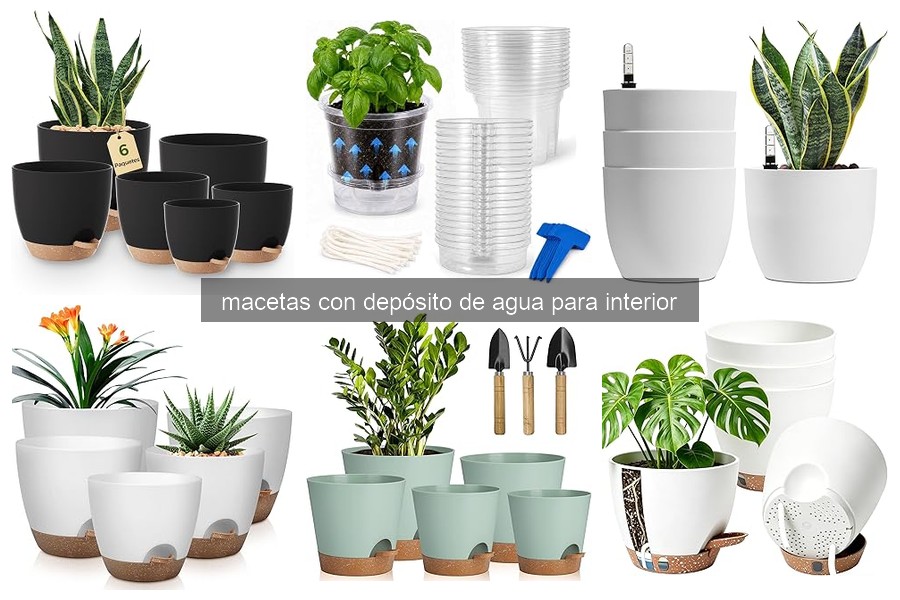 Mejores macetas con depósito de agua para interior 2026