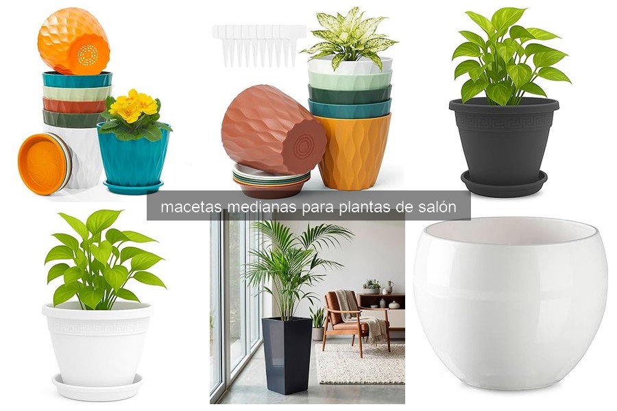 Mejores macetas medianas para plantas de salón en 2026
