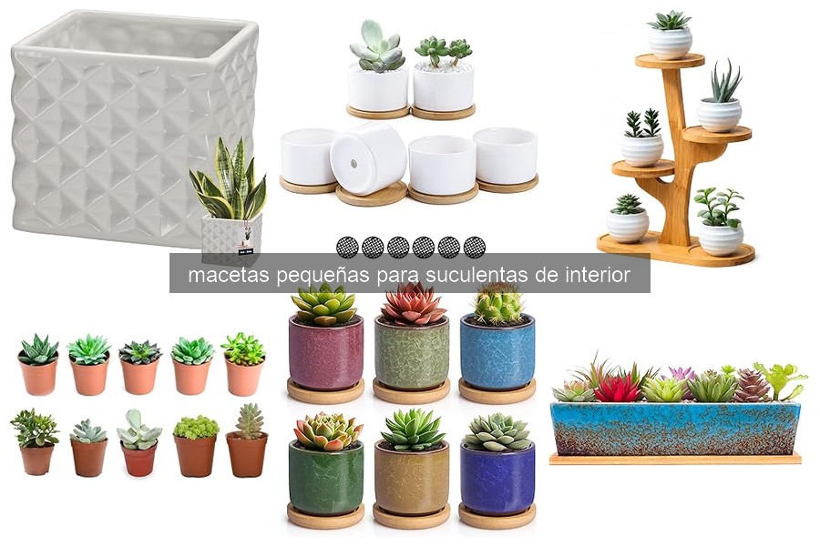 Mejores macetas pequeñas para suculentas de interior en 2026