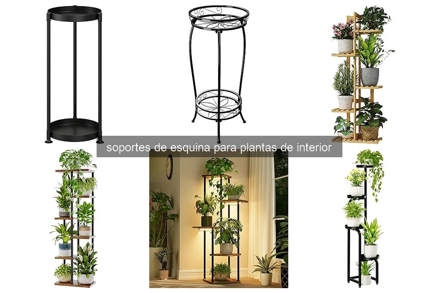 Mejores marcas de soportes de esquina para plantas de interior