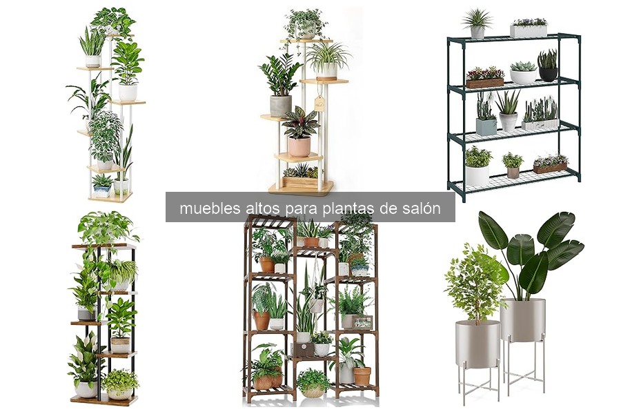 Mejores muebles altos para plantas de salón en 2026