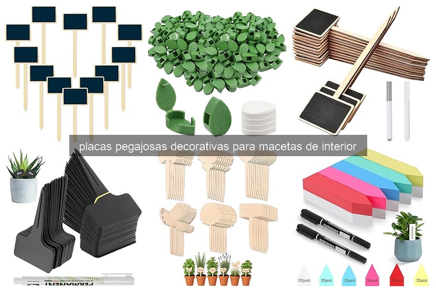 Mejores placas pegajosas decorativas para macetas en 2026