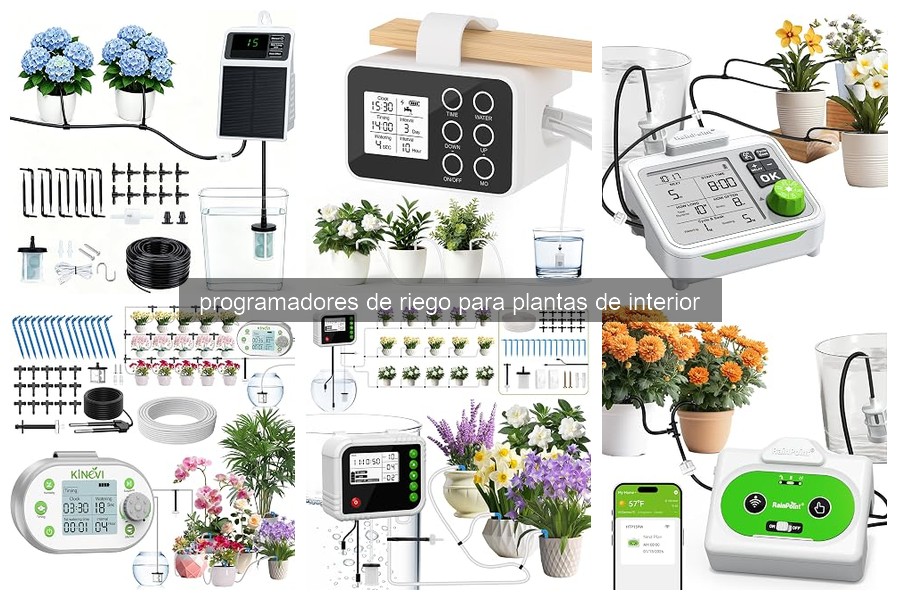 Mejores programadores de riego para plantas de interior 2023