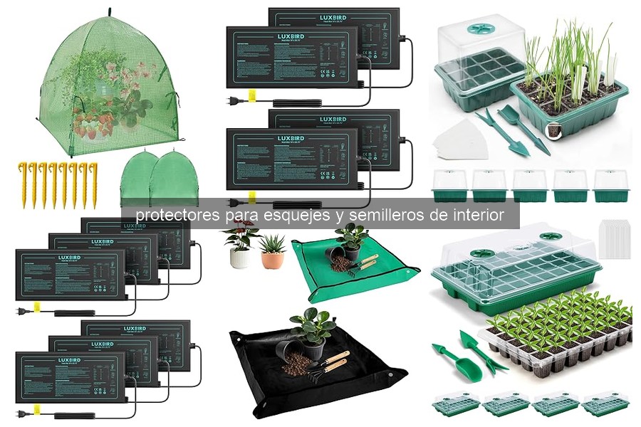 Mejores protectores para esquejes y semilleros de interior