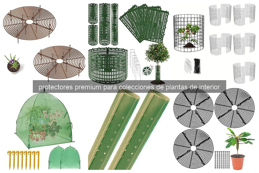 Mejores protectores premium para plantas de interior en 2026