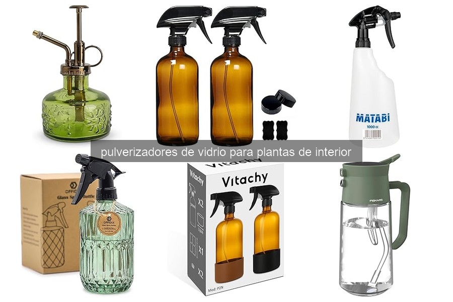 Mejores pulverizadores de vidrio para plantas de interior