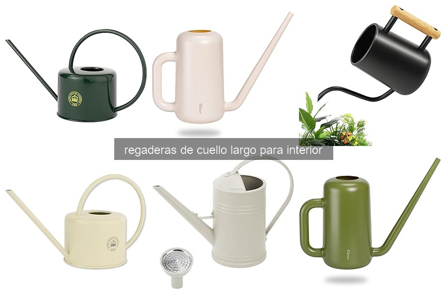 Mejores regaderas de cuello largo para plantas de interior 2026