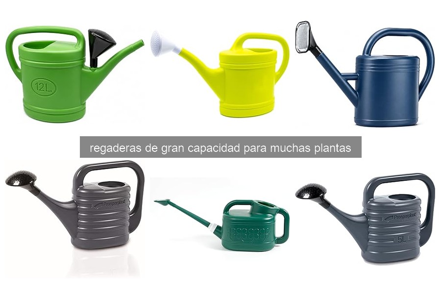 Mejores regaderas de gran capacidad para plantas de interior