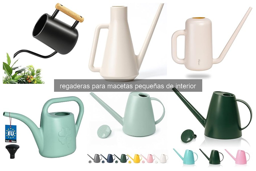 Mejores regaderas para macetas pequeñas de interior en 2026