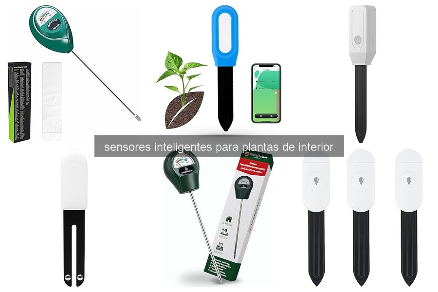 Mejores sensores inteligentes para plantas de interior 2023