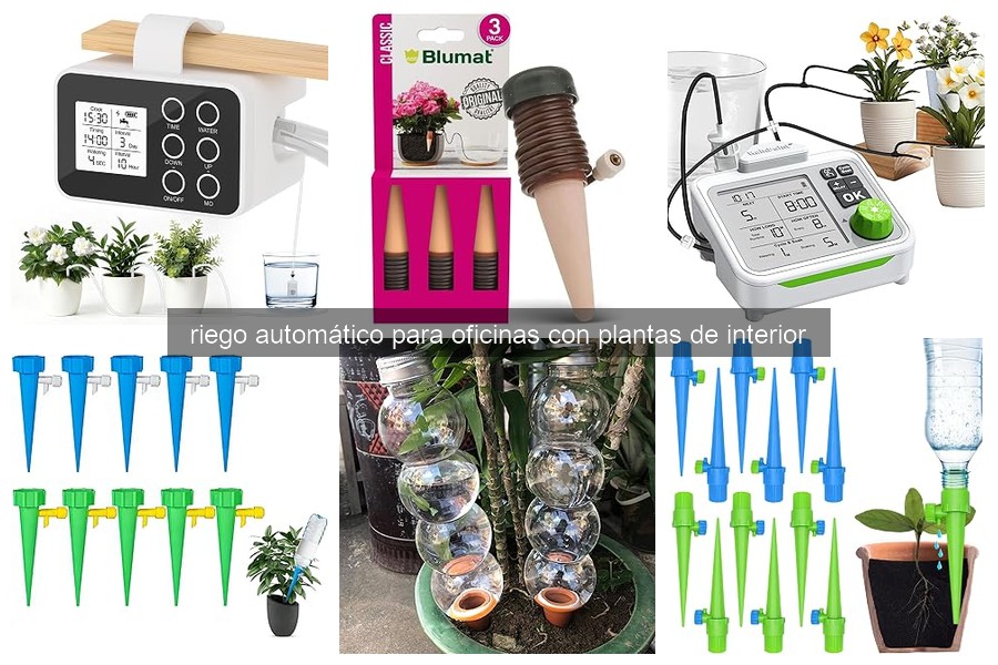 Mejores sistemas de riego automático para oficinas con plantas