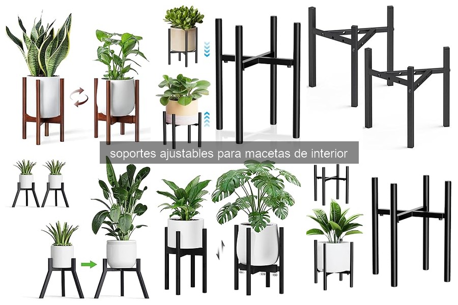 Mejores soportes ajustables para macetas según tipo de planta