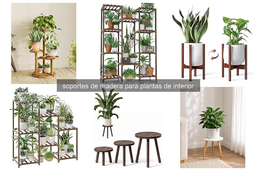 Mejores soportes de madera para plantas de interior en 2023