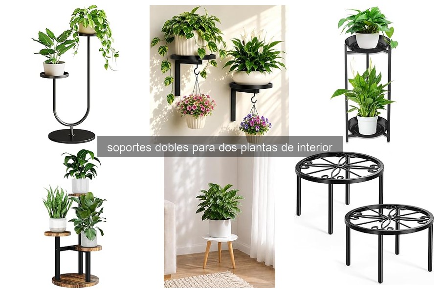Mejores Soportes Dobles para Plantas de Interior en 2023