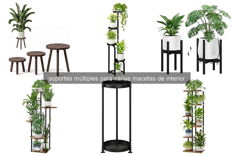 Mejores soportes múltiples para macetas de interior en 2026