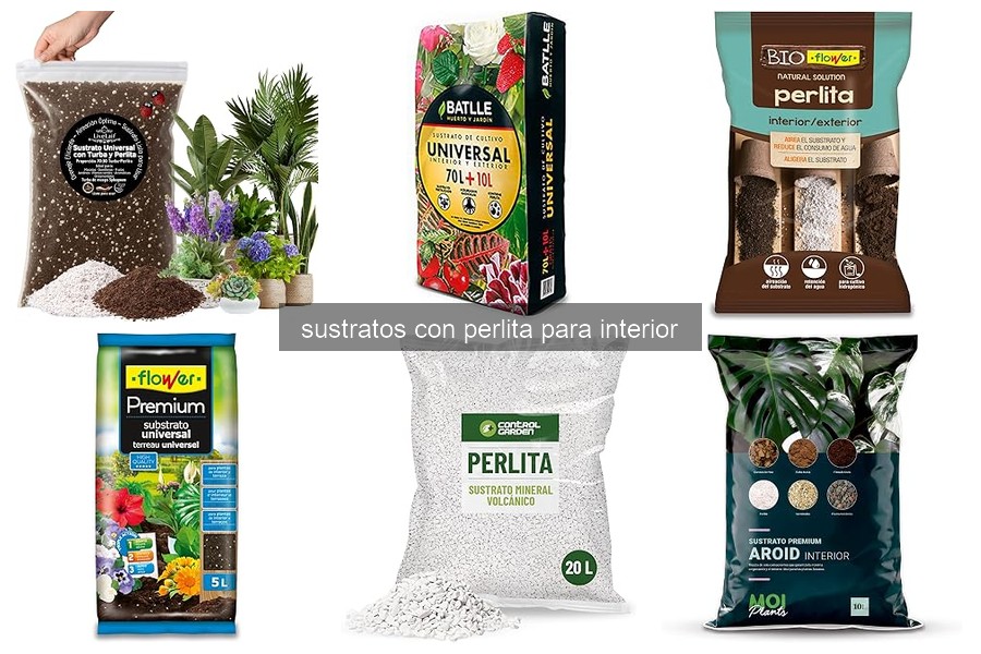 Mejores sustratos con perlita para plantas de interior 2026