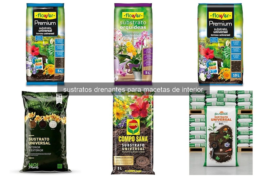 Mejores sustratos drenantes para macetas de interior 2026