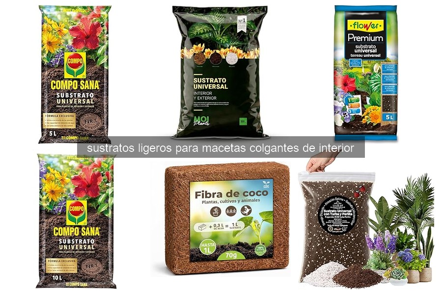 Mejores sustratos ligeros para macetas colgantes de interior