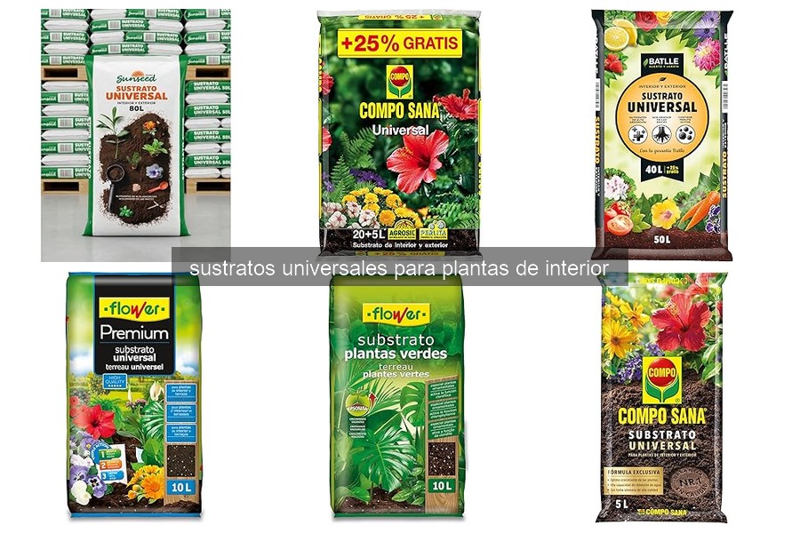 Mejores sustratos universales para plantas de interior en 2026