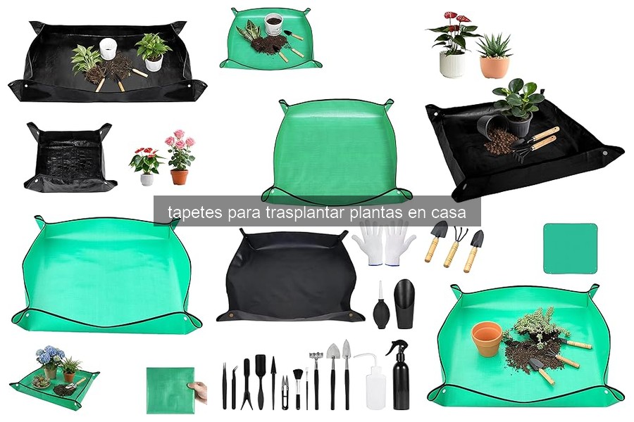 Mejores tapetes para trasplantar plantas en casa (2026)