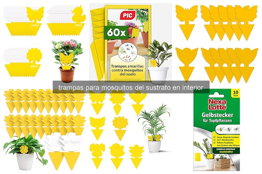 Mejores trampas para mosquitos en el sustrato de interior