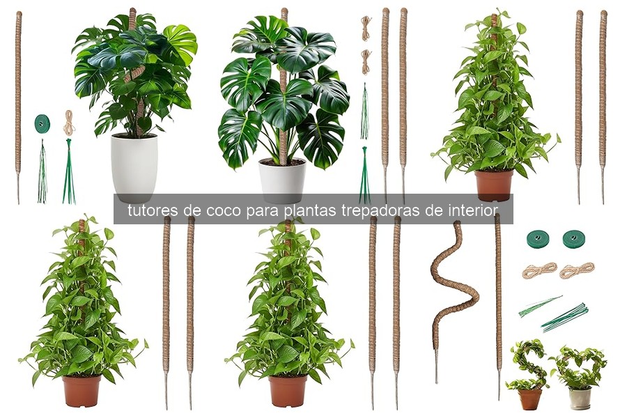 Mejores tutores de coco para plantas trepadoras de interior