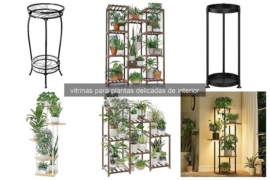 Mejores vitrinas para plantas delicadas de interior 2023