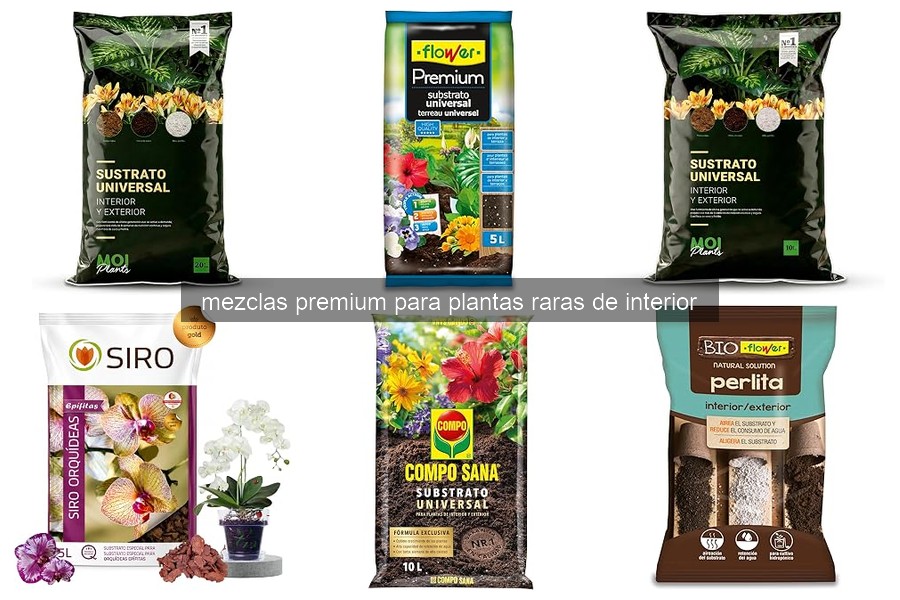 Mezclas Premium para Plantas Raras de Interior: Beneficios y Características