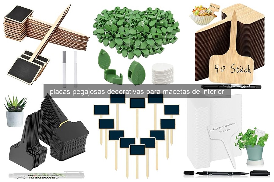 Placas Pegajosas Decorativas para Macetas de Interior: ¿Qué Son?