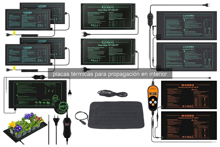Placas térmicas para propagación de plantas: ¿qué son?