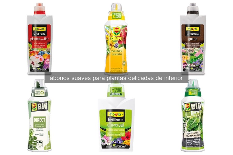 Problemas Comunes al Usar Abonos Suaves en Plantas Delicadas