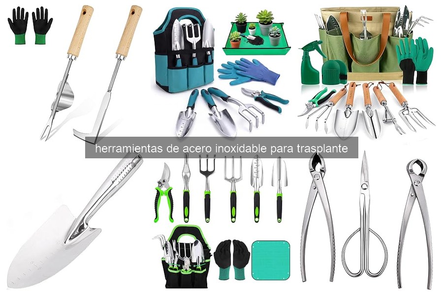 Problemas comunes al usar herramientas de trasplante