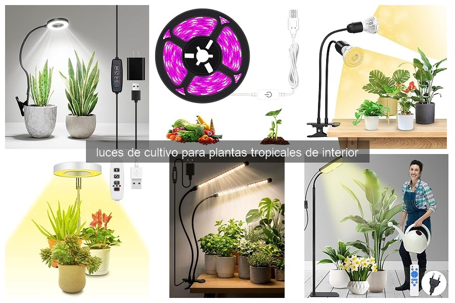 Problemas comunes al usar luces de cultivo y soluciones