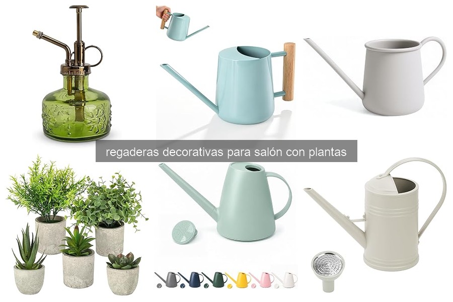 Problemas comunes al usar regaderas decorativas para plantas