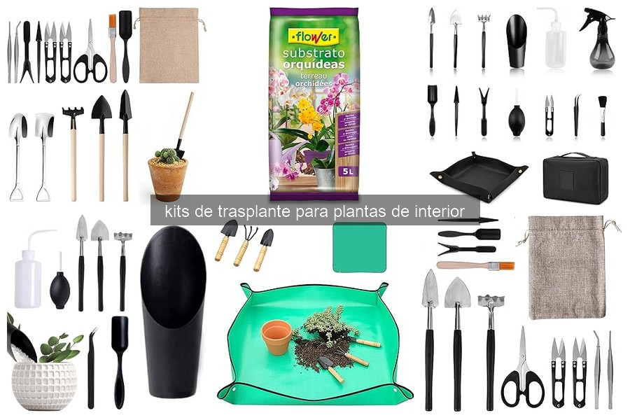 Problemas comunes al usar un kit de trasplante y soluciones
