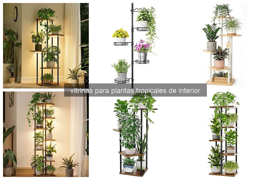Problemas comunes al usar vitrinas para plantas tropicales