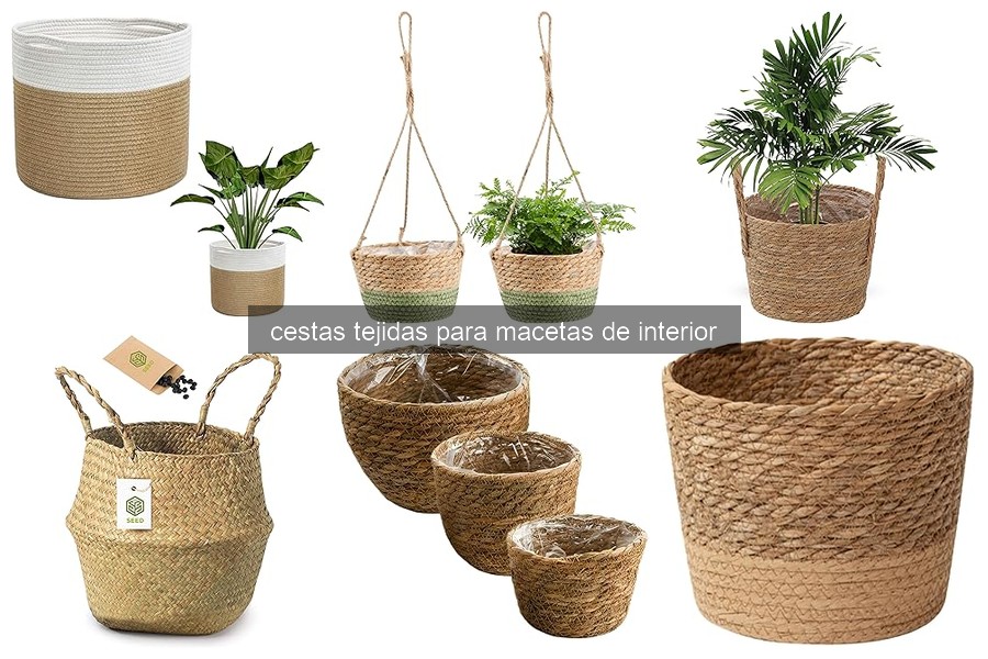 Problemas Comunes con Cestas Tejidas para Macetas de Interior