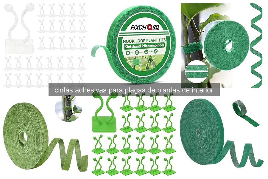 Problemas comunes con cintas adhesivas para plagas de plantas