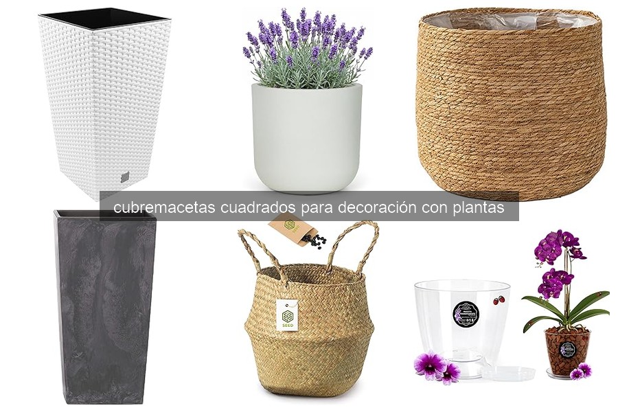 Problemas comunes con cubremacetas cuadrados y soluciones