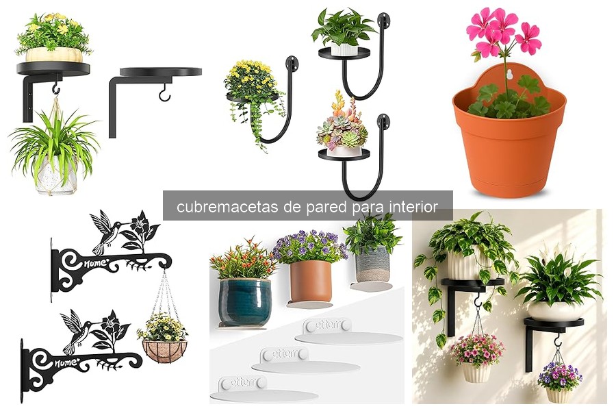 Problemas comunes con cubremacetas de pared y soluciones