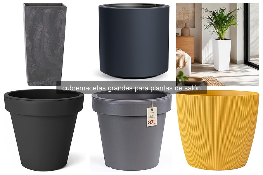 Problemas comunes con cubremacetas grandes y soluciones