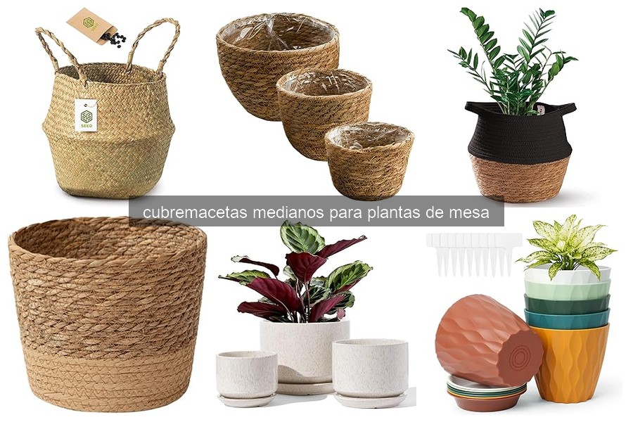 Problemas comunes con cubremacetas medianos y soluciones