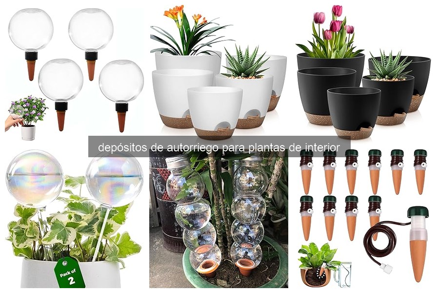 Problemas comunes con depósitos de autorriego para plantas