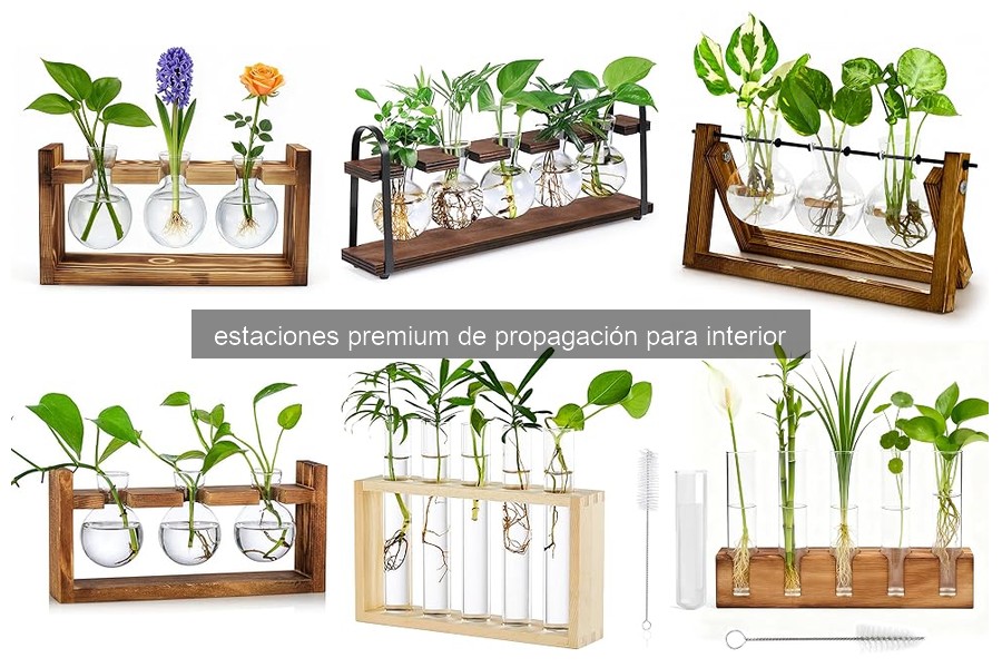 Problemas comunes con estaciones de propagación y soluciones